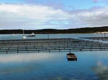 Longbeach Apartments Coffin Bay Екстер'єр фото